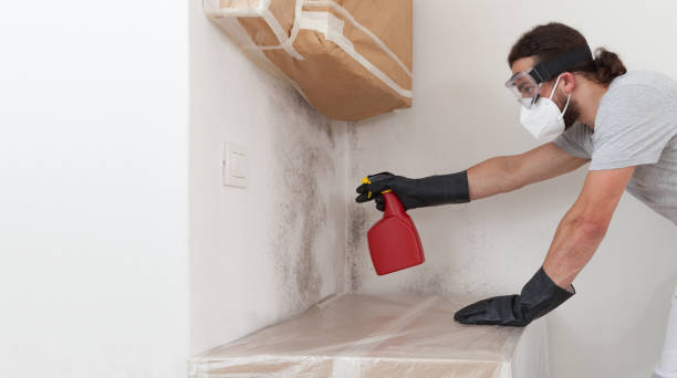 Professional Bathroom Mold Removal technician working in Arlington, MA