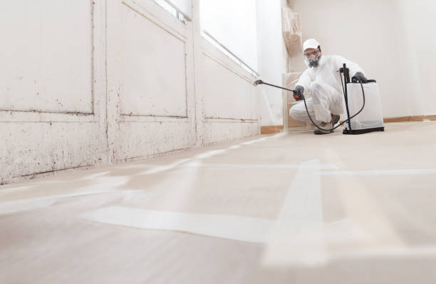 24/7 Emergency Bathroom Mold Removal experts in Arlington, MA