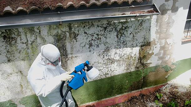 Top rated local Bathroom Mold Removal specialists in Arlington, MA